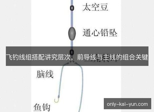 飞钓线组搭配讲究层次,前导线与主线的组合关键 飞钓线组搭配讲究层次,前导线与主线的组合关键